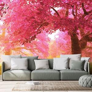 Fototapeta rozkvetlé stromy třešně - 300x200 cm