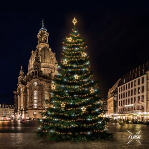 DECOLED LED světelná sada na vánoční stromy vysoké 18-20 m, teplá bílá s Flash, dekory 8EFD14W