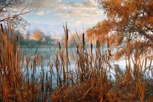 Fototapeta jezero uprostřed podzimní přírody - 300x270