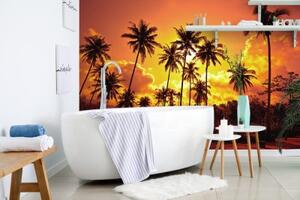 Tapeta kokosové palmy na pláži - 150x100 cm