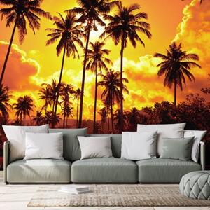 Tapeta kokosové palmy na pláži - 300x200 cm