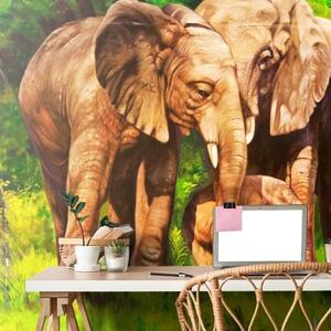 Samolepící tapeta sloní rodinka - 225x150 cm