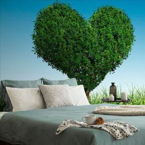 Samolepící tapeta strom ve tvaru srdce - 450x300 cm