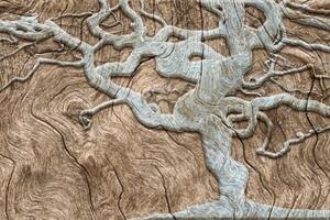 Tapeta abstraktní strom na dřevě v béžovém - 150x100 cm