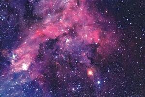 Fototapeta fialová obloha - 150x100 cm