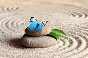 Fototapeta modrý motýl na Zen kameni - 300x200 cm