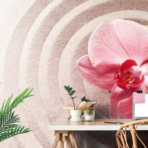 Tapeta mořský písek a růžová orchidej - 300x200 cm