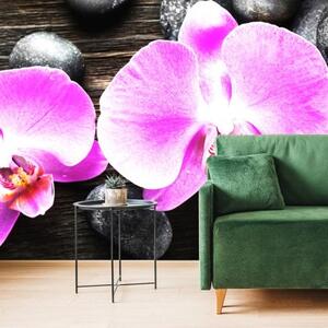 Samolepící fototapeta nádherná orchidej a kameny - 225x150 cm