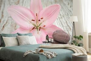 Fototapeta růžová lilie a Zen kameny - 150x100 cm