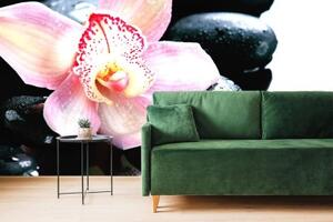 Samolepící fototapeta exotická orchidej - 450x300 cm