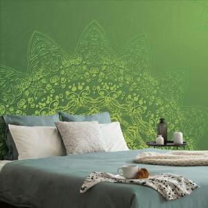 Samolepící tapeta moderní prvky Mandaly v zelené - 150x100 cm