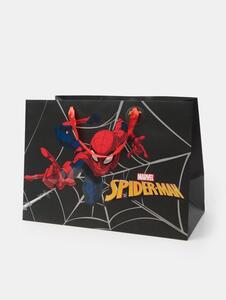 Sinsay - Dárková taška Spider-Man - černá