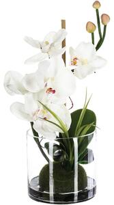 Umělá orchidej v skleněné váze, 37 x 18 cm