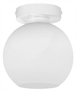 Stropní svítidlo ELIZA, 1x bílé skleněné stínítko (výběr ze 2 barev konstrukce)