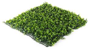 Umělý živý plot Hawaj Buxus High | Stěna 100 x 100 cm