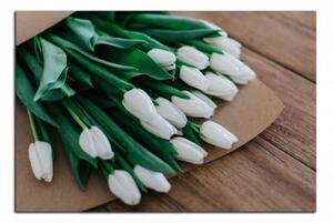Obraz do bytu Bílé tulipány