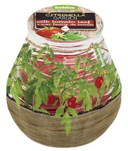 Sviečka bolsius Teracce Citronella, 94/91 mm, paradajka