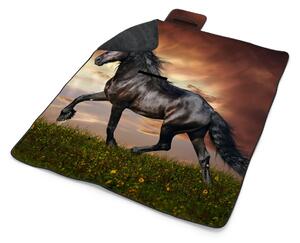 Sablio Plážová deka Friský kůň: 200x140 cm