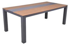 ZAHRADNÍ STŮL, kov, plast, 200/100/75 cm Gardenson - Online Only zahradní nábytek, Online Only