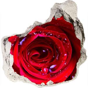 Samolepící nálepka na zeď Květ růží nd-p-100979783