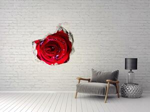 Samolepící nálepka na zeď Květ růží nd-p-100979783
