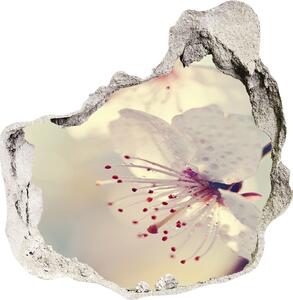 Samolepící nálepka na zeď Květ višně nd-p-102906126