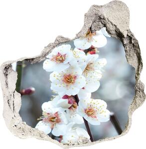 Samolepící nálepka fototapeta Květy višně nd-p-104952401