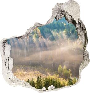 Fototapeta díra na zeď Mlha v lese nd-p-104886541