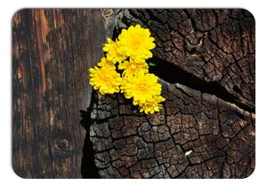 Prostírání - 077, Žluté květiny na starém dřevě