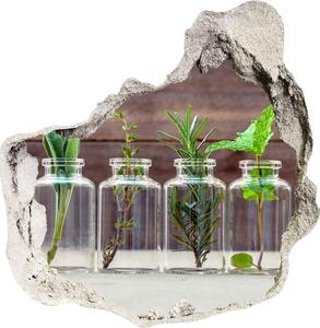 Samolepící nálepka Rostliny ve sklenicích nd-p-107111601