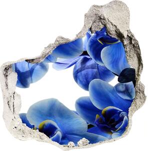 Fototapeta nálepka na zeď Modrá orchidej nd-p-108719239