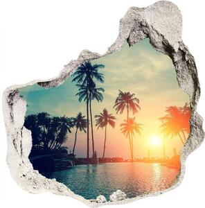 Díra 3D ve zdi nálepka Západ slunce palmy nd-p-118937012