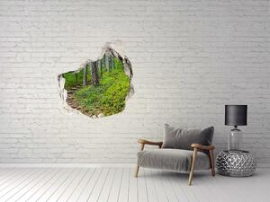 Díra 3D ve zdi nálepka Lesní stezka nd-p-122173226