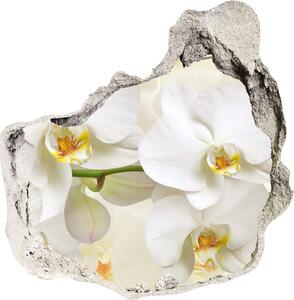 Samolepící nálepka fototapeta Orchidej nd-p-123330197