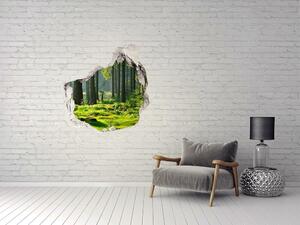 Díra 3D ve zdi na stěnu Smrkový les nd-p-124579847