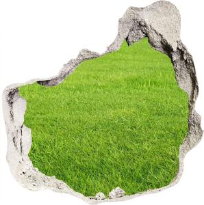 Díra 3D ve zdi nálepka Zelená tráva nd-p-141153462