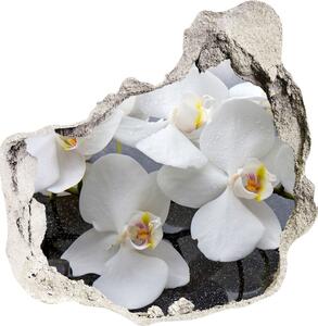 Samolepící nálepka fototapeta Orchidej nd-p-143985624