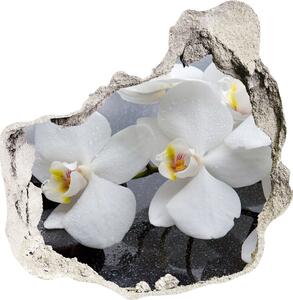 Samolepící nálepka fototapeta Orchidej nd-p-144310520