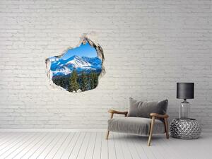 Díra 3D ve zdi nálepka Panorama Tatry nd-p-181484516