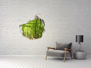 Díra 3D ve zdi na stěnu Listnatý les nd-p-31250020