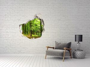 Díra 3D ve zdi nálepka Lesní stezka nd-p-35316050