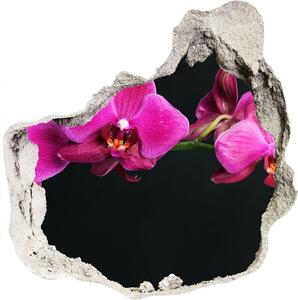 Samolepící díra nálepka Orchidej nd-p-64284743