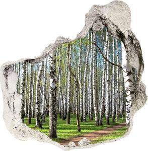 Nálepka fototapeta 3D výhled Břízový les nd-p-64516023