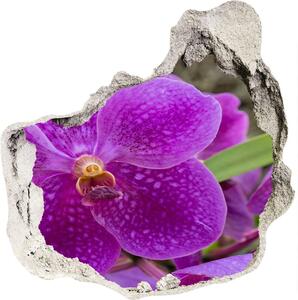 Samolepící díra nálepka Orchidej nd-p-64607986
