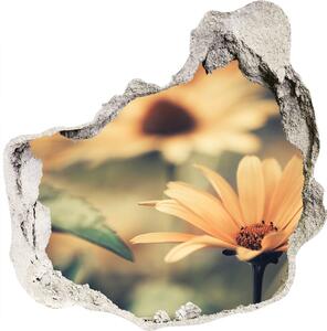 Samolepící díra na stěnu Jarní květiny nd-p-64765143
