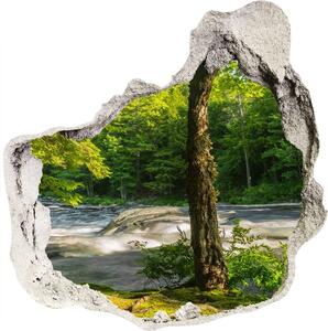 Nálepka fototapeta 3D výhled Řeka v lese nd-p-66915556