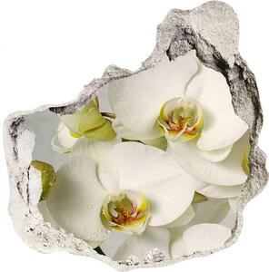 Samolepící díra nálepka Bílá orchidej nd-p-67521473