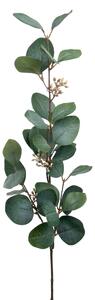 Animadecor Umělá květina - Eukalyptus velkolistý 70cm