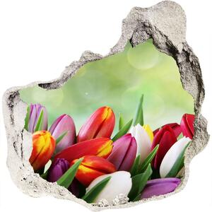 Samolepící díra na stěnu Barevné tulipány nd-p-69344290