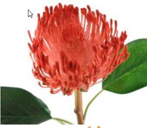 Animadecor Umělá květina - Africká protea červená